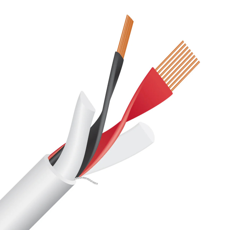 Wireworld Stream 10 STS | Kabel głośnikowy Hi-Fi – HIFI Strefa