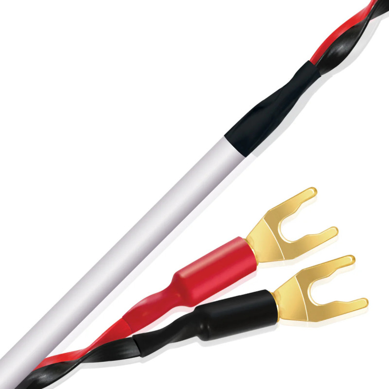 Wireworld Stream 10 STS | Kabel głośnikowy Hi-Fi – HIFI Strefa