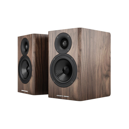 Acoustic Energy AE500 – Kolumny podstawkowe Hi-Fi | HiFi Strefa