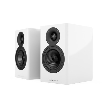 Acoustic Energy AE500 – Kolumny podstawkowe Hi-Fi | HiFi Strefa
