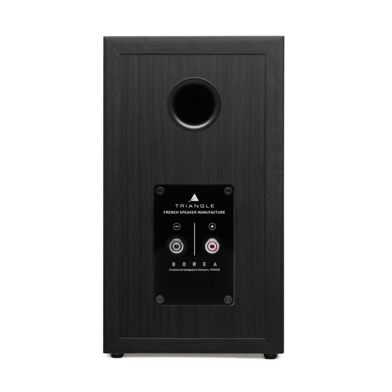 Triangle Borea BR02 Kolumny Hi-Fi Kraków | HiFi Strefa