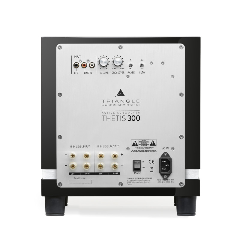 Triangle Thetis 300 – Subwoofer aktywny  | HiFi Strefa