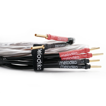 Melodika BSBW – Przewód głośnikowy Bi-Wiring Brown Sugar | HiFi Strefa
