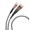 Melodika MDBW415 – Przewód głośnikowy Bi-Wiring OFC | HiFi Strefa