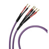 Melodika MDBW415 – Przewód głośnikowy Bi-Wiring OFC | HiFi Strefa