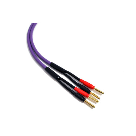Melodika MDSC40 – Przewód głośnikowy OFC 2×4,0 mm² | HiFi Strefa