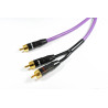 Melodika MDSWY – Przewód subwooferowy Y RCA | HiFi Strefa
