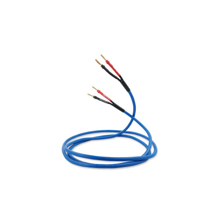 Melodika SBSC15 – Przewód głośnikowy Sky Blue 2×1,5 mm² | HiFi Strefa